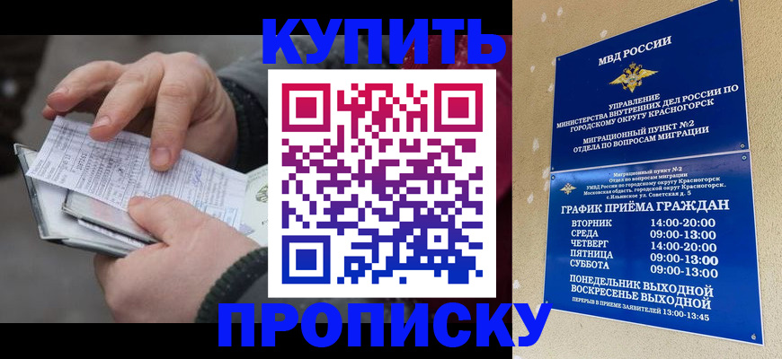 временная регистрация недорого в Коряжме